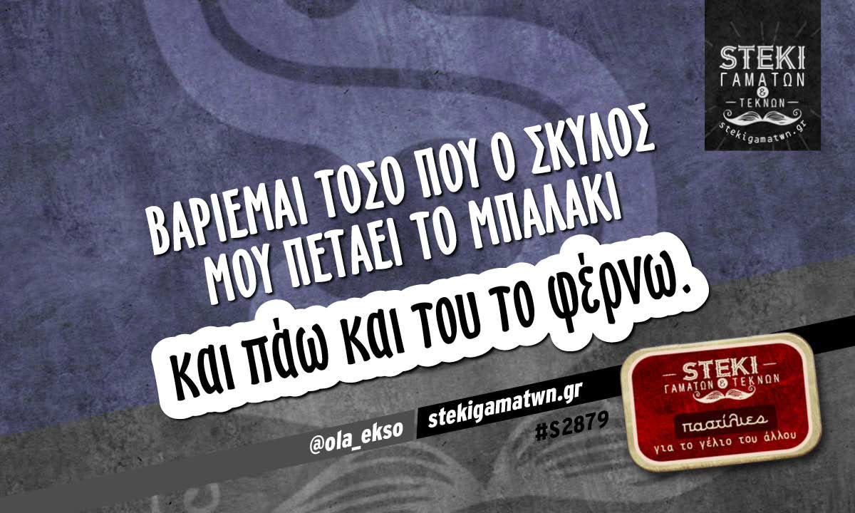Βαριέμαι τόσο που ο σκύλος μου πετάει το μπαλάκι  @ola_ekso