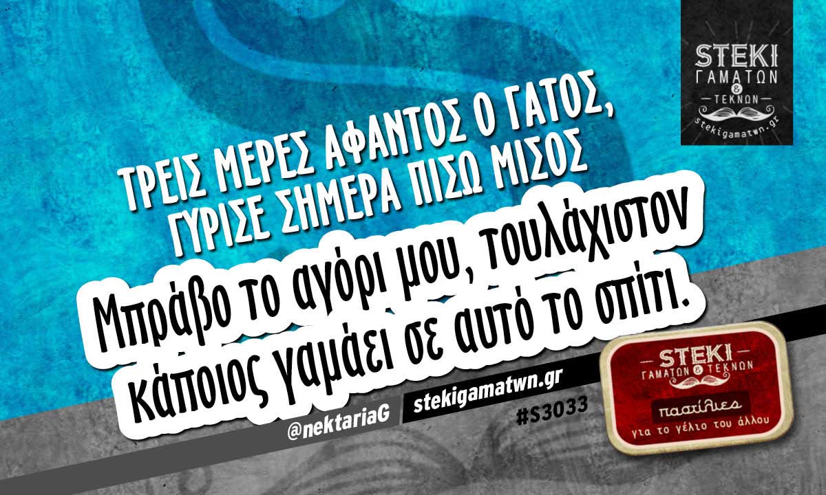 Τρεις μέρες άφαντος ο γάτος @nektariaG