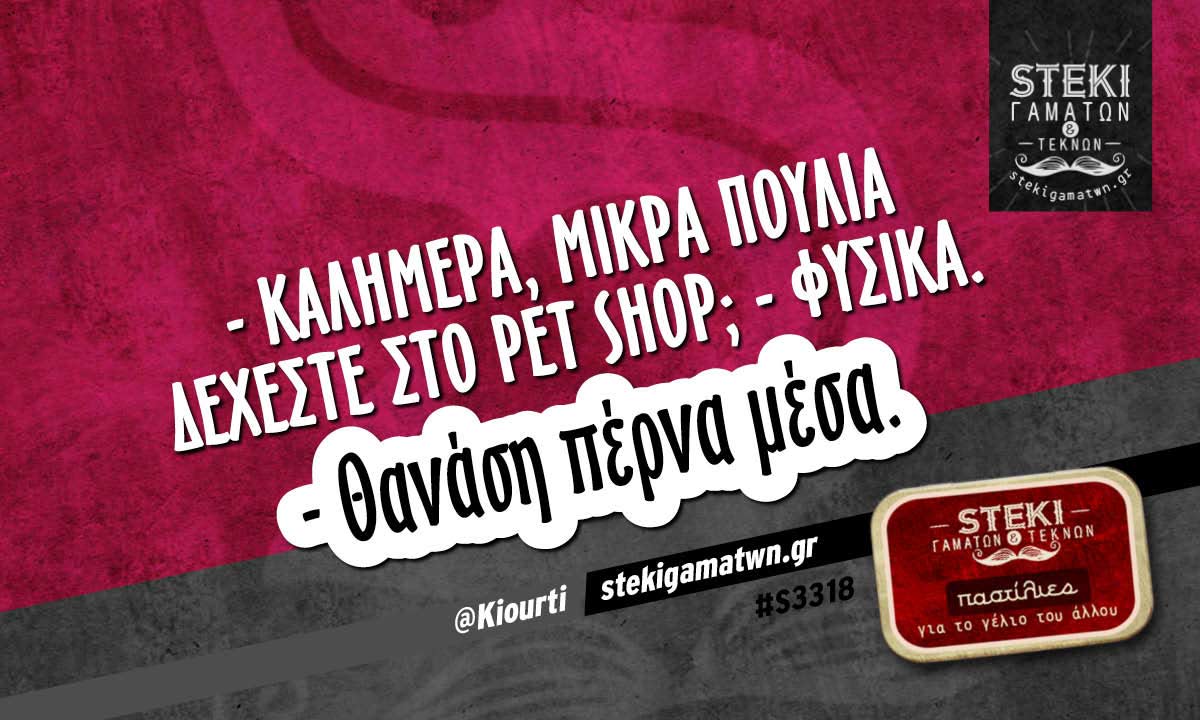 – Καλημέρα, μικρά πουλιά @Kiourti