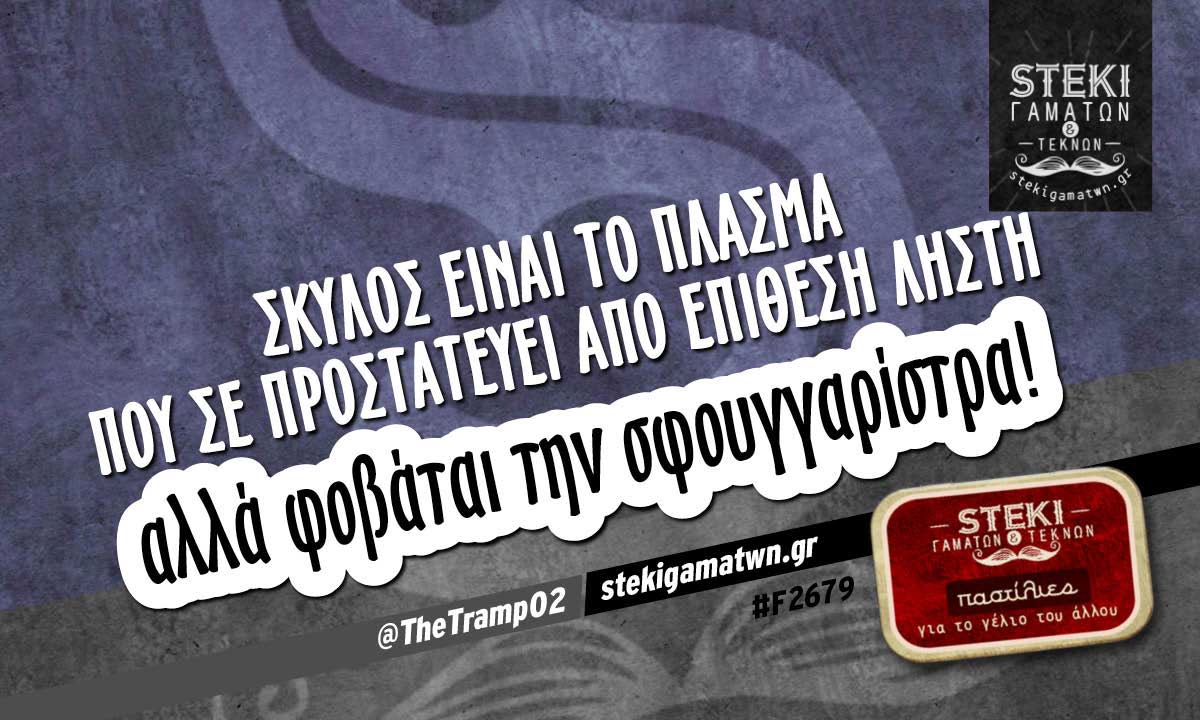 Σκύλος είναι το πλάσμα @TheTramp02