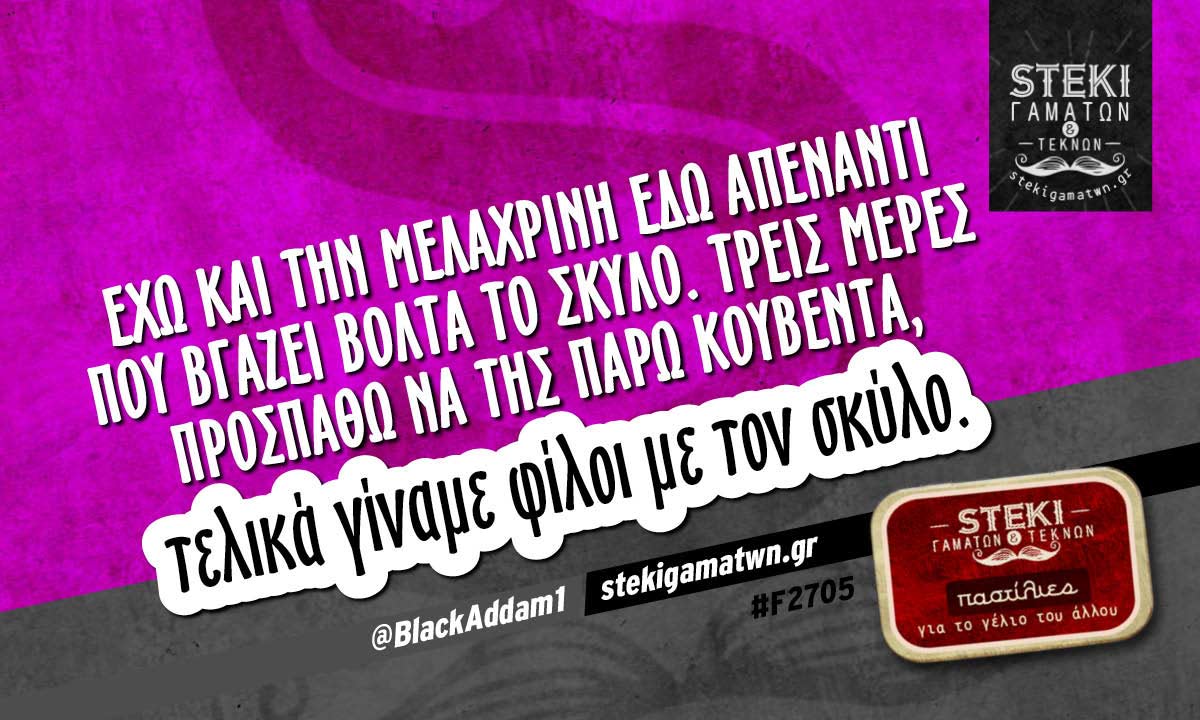 Έχω και την μελαχρινή εδώ απέναντι @BlackAddam1