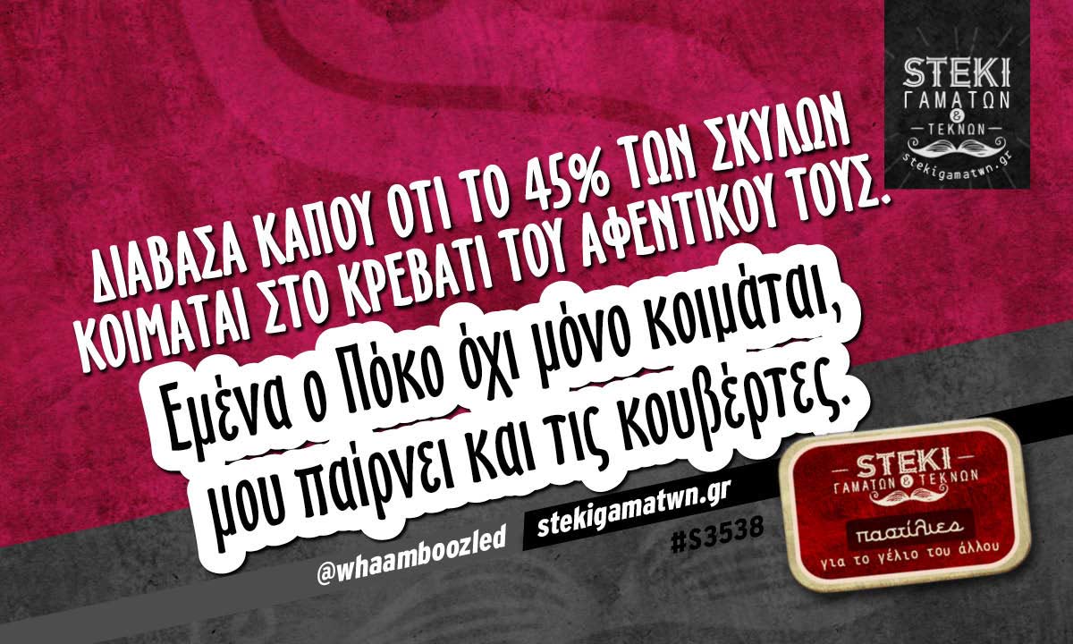 Διάβασα κάπου ότι το 45% των σκύλων @whaamboozled