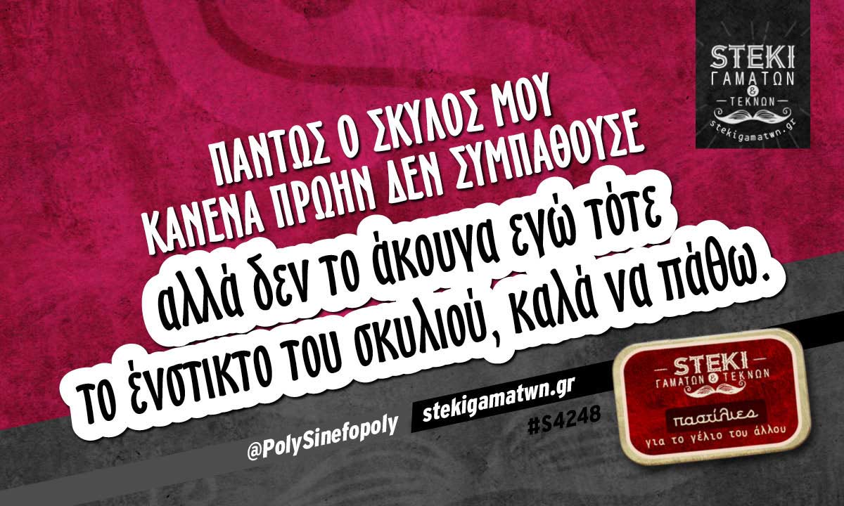 Πάντως ο σκύλος μου  @PolySinefopoly