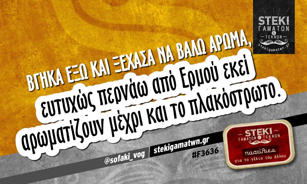 Βγήκα έξω και ξέχασα να βάλω άρωμα @sofaki_vog