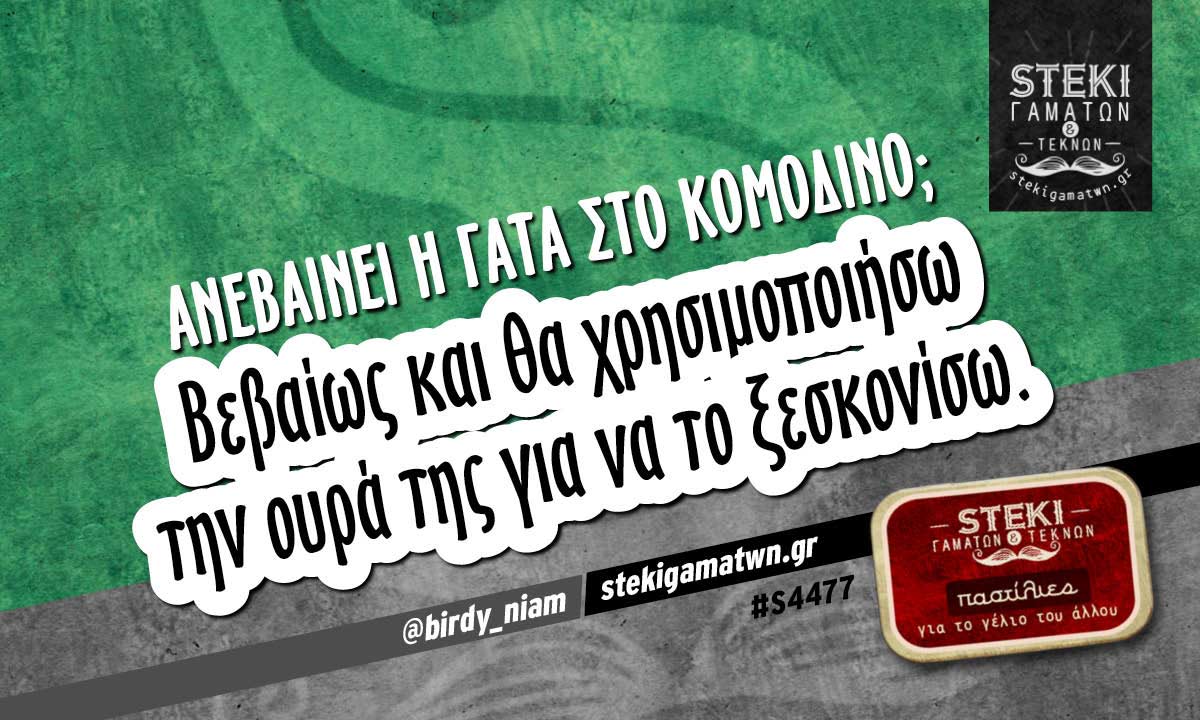 Ανεβαίνει η γάτα στο κομοδίνο @birdy_niam